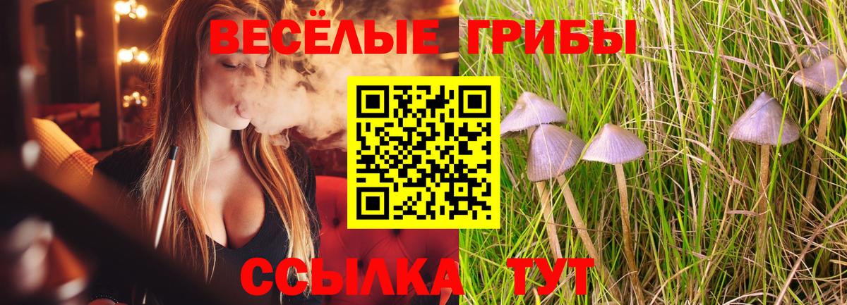 Красноармейск  Псилоцибиновые грибы ЛСД  Вход с VPN  Псилоцибиновые грибы прущие грибы 