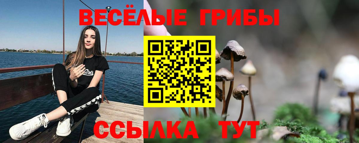 Псилоцибиновые грибы мухоморы Красноармейск